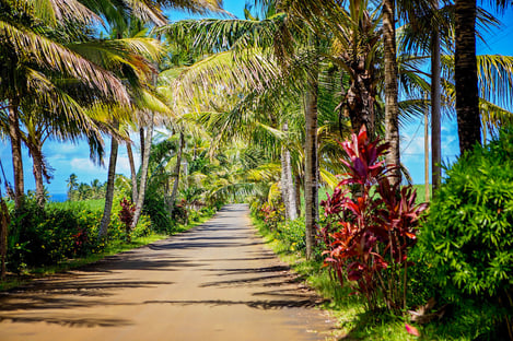 Pour quels moyens de transport opter ?