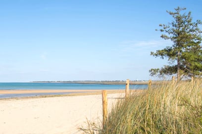 The most beautiful beaches of Ile de Ré