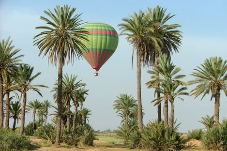 Discover the city in a unique way