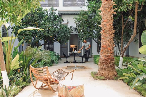 From spices to aromatic plants: mint tea in the Maghreb