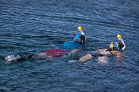 ¿Por qué practicar snorkel?
