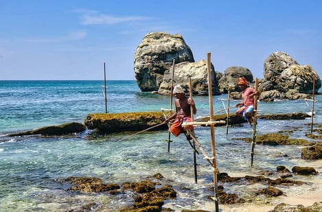 10. Sri Lanka: One of the best places for winter sun and nature 