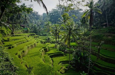 5. Bali: Spirituality and well-being for your December holidays 