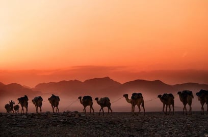 Discover the Most Beautiful Deserts in the World