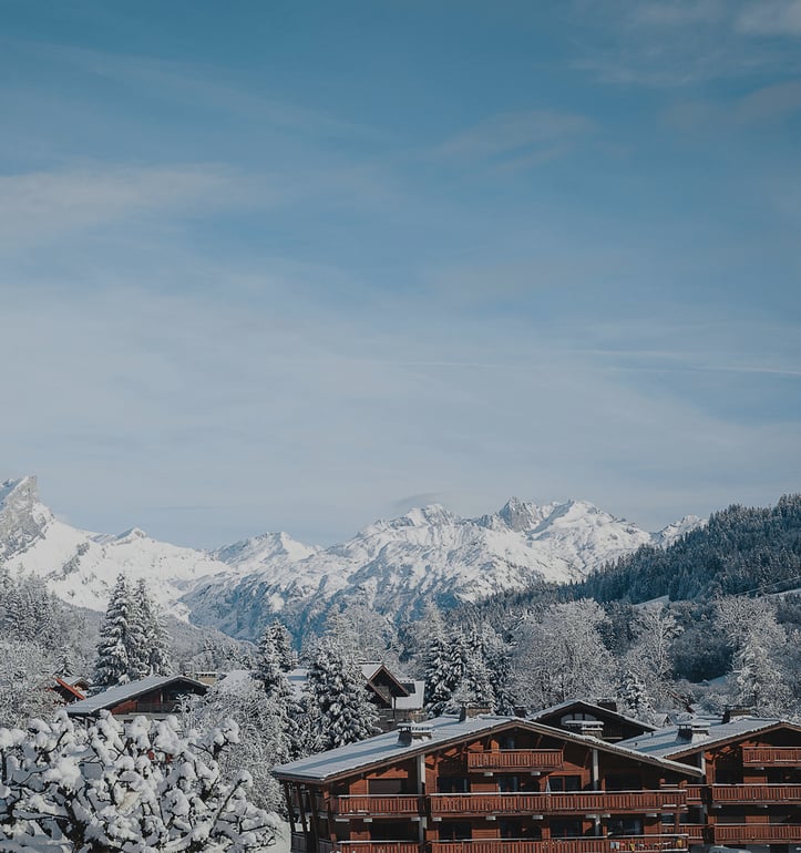 Luxury Ski Chalets in the French Alps & Personal service
