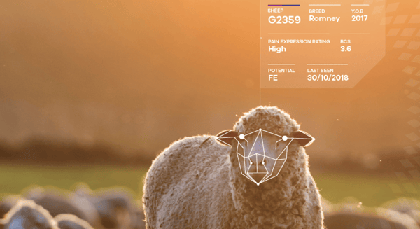 Business accelerator Sprout returns to invest in Kiwi agtech and foodtech start-ups