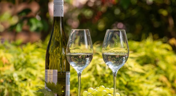 2021 welcomes exciting development for the NZ wine industry