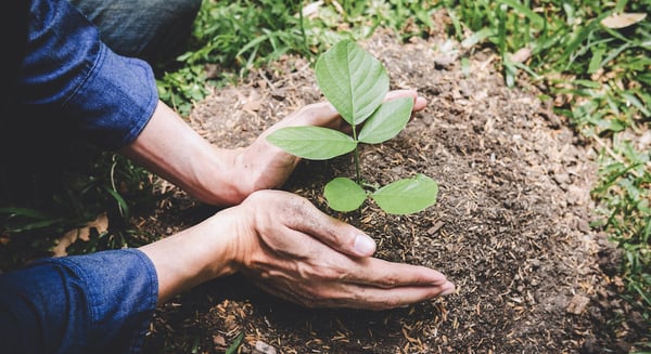 Designing philanthropy into everyday operations