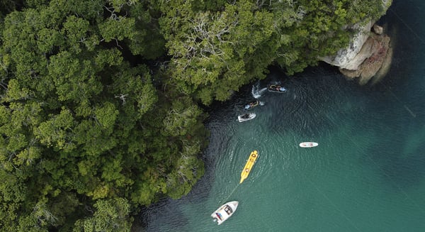 Capturing Aotearoa: New stock image library Truestock will become the first platform co-operative in NZ