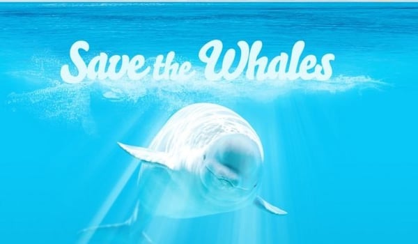 PornHub’s lesson on knowing your audience