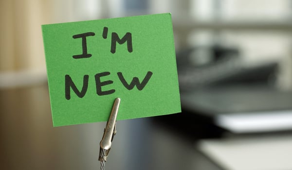 Understanding the new