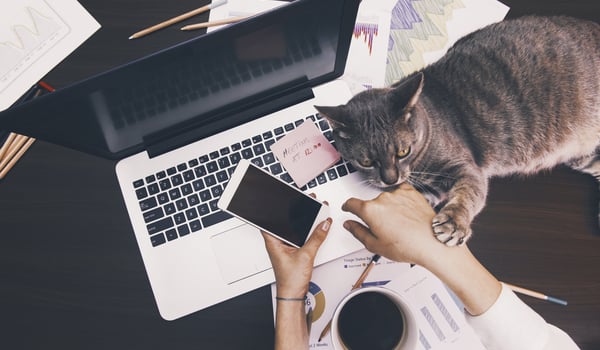 To those of you working from home…