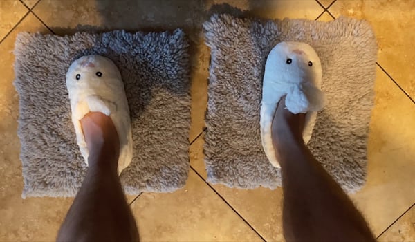 Energy Online and Contagion spark savings initiative