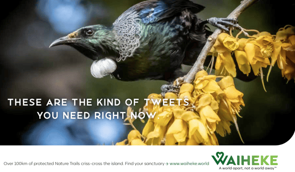 Waiheke’s new campaign shows the missed wonders of island living