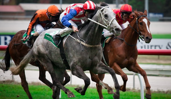 TVNZ to show Melbourne Cup