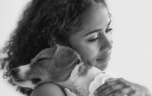 Pedigree pet adoption 2