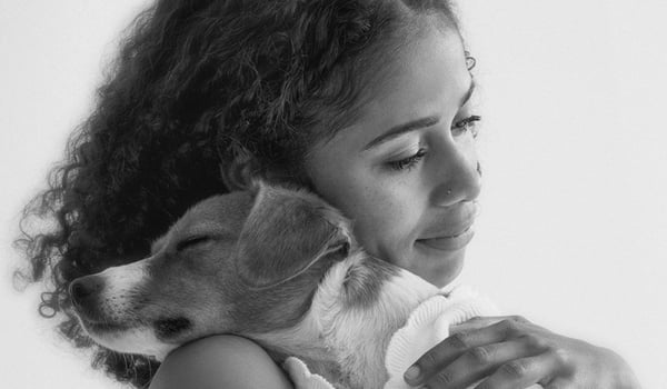 Cute creative from Colenso encourages pet adoption