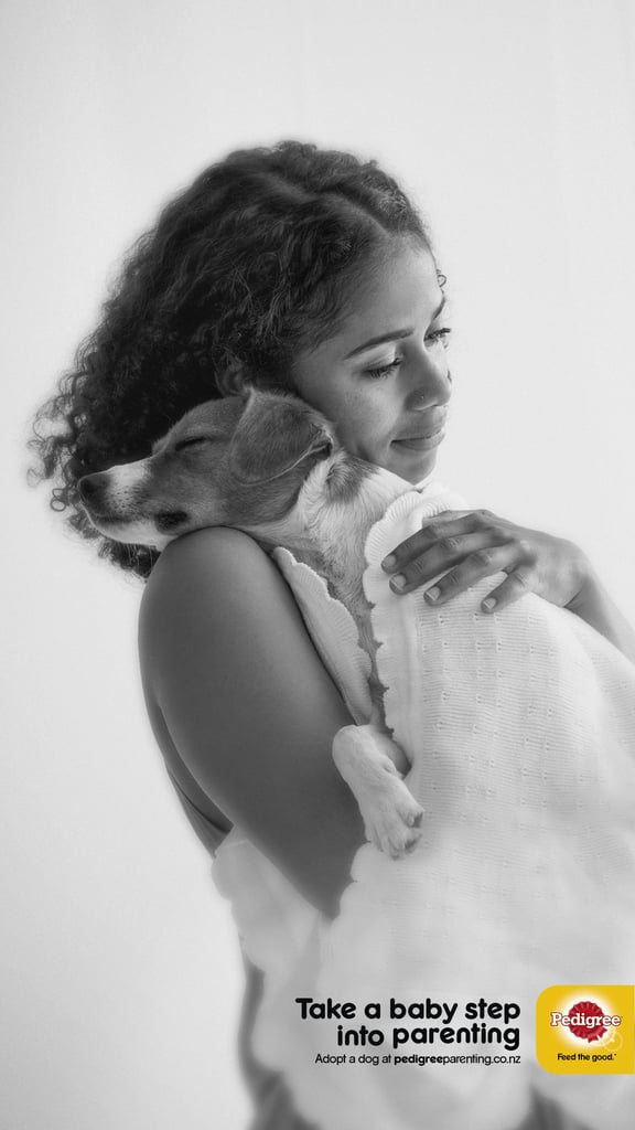 Pedigree pet adoption 1
