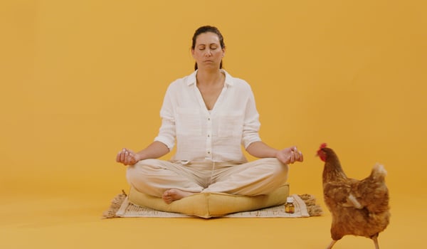 Goju’s new campaign challenges wellness-woke Kiwis