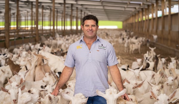 Pitchblack launches ‘Before Cow’ goat’s milk