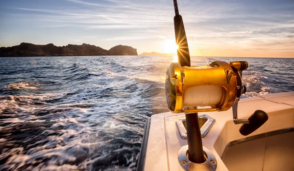 Maritime NZ appoints Federation