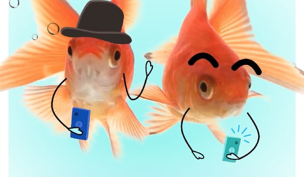 ‘Dosh’ launches with forgetful goldfish, debt-collecting turtles