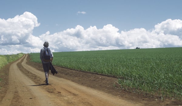 BNZ and Colenso BBDO remind Kiwis of the importance of business
