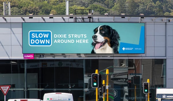 Southern Cross Pet Insurance, MBM and TBWA/NZ launch ‘speedometer billboards’