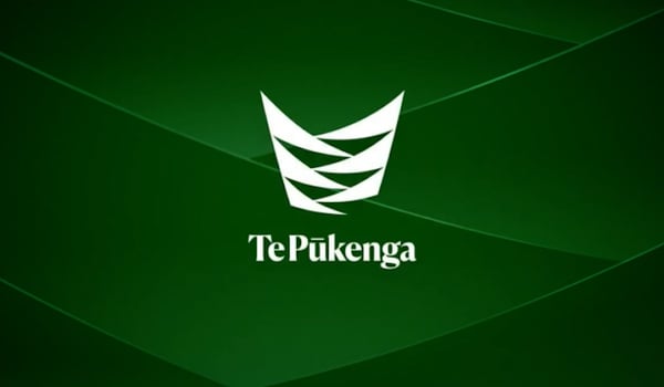 Te Pūkenga partners with Clemenger BBDO led collective for national launch campaign