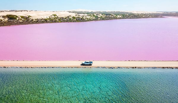 New campaign by TBWA\NZ to attract Kiwis to South Australia