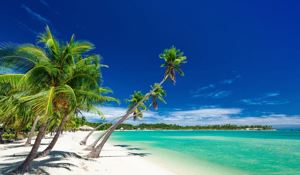 Tourism Fiji seeks EOI for global agency partners