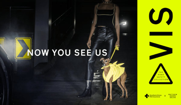 Southern Cross and TBWA\NZ launch VIS pet road safety fashion collection