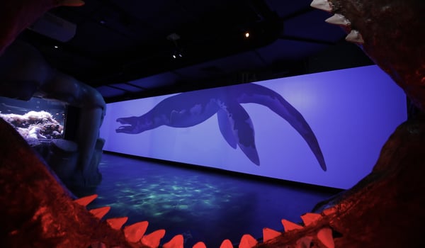 Method partners with SEA LIFE Melbourne on the launch of a new cutting-edge experience