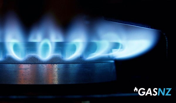 Auckland agency BCG2 awarded GasNZ account