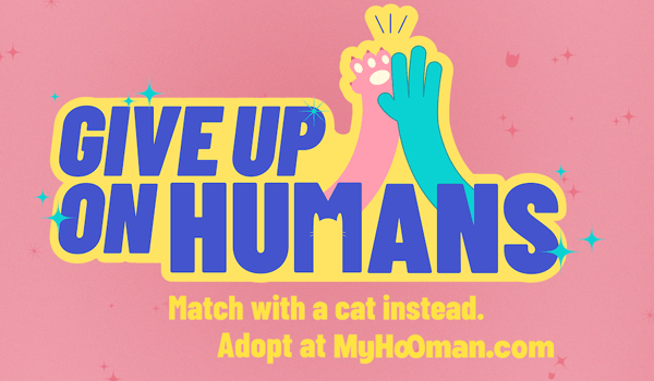 Colenso and Myhooman help singles find purrfect match