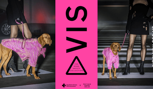 TBWA/NZ Eleven PR & Southern Cross Pet Insurance win gold at Pressies for Best Integrated Campaign