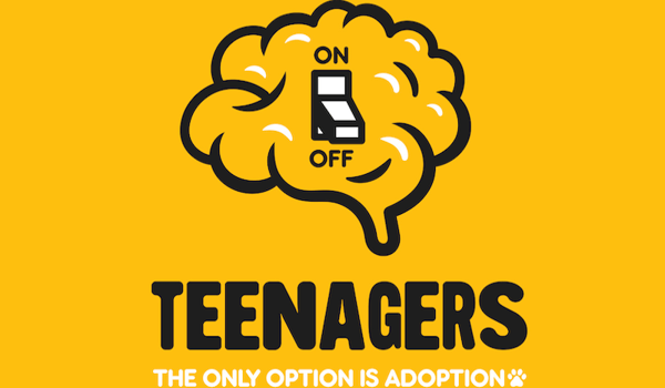 Colenso and Pedigree launch tongue-in-cheek adoption campaign
