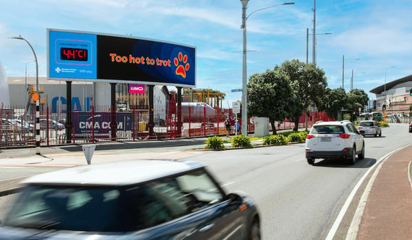 Southern Cross Pet Insurance, MBM & TBWA launch ‘Pet Paw-casts’
