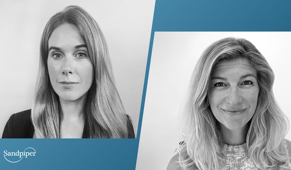 Sandpiper grows NZ presence with new appointments