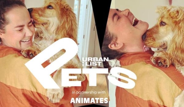 Urban List and Animates partner on one-stop shop for pet owners