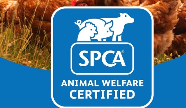 Energi and SPCA launch animal welfare programme