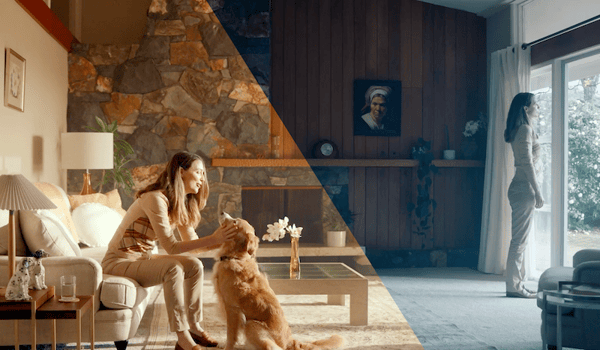 Colenso BBDO and Pedigree pay tribute to the pups