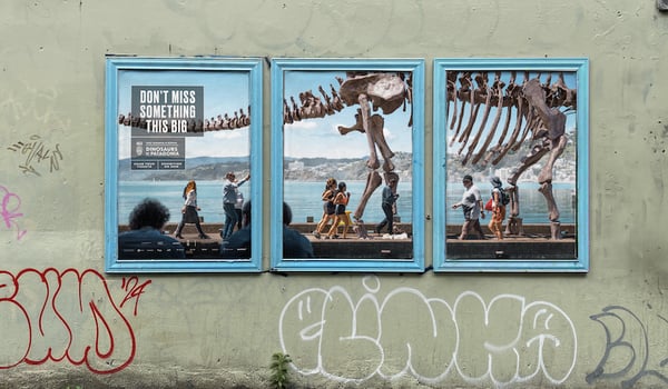 Something big is coming to Te Papa, with the help of EightyOne and MBM