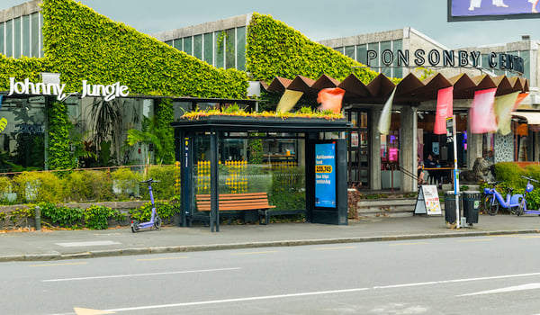 Auckland abuzz as oOh!Media installs green roofs across the city