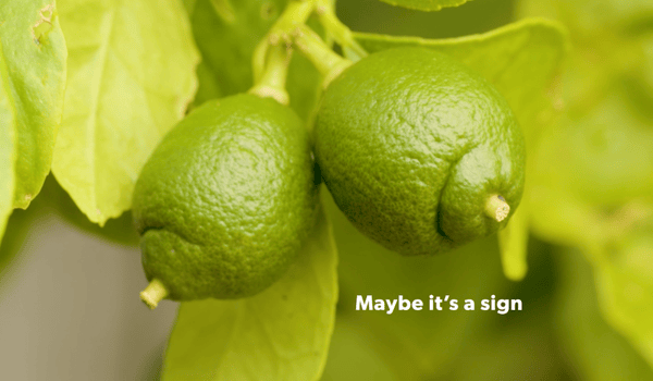 Ogilvy’s BCFNZ campaign sees breasts everywhere