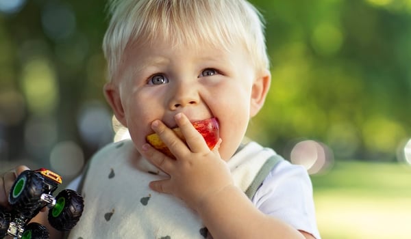 It’s official: Woolworths returns to NZ