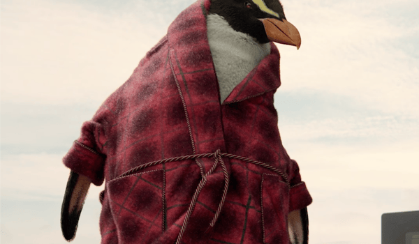 Special and Contact enlist penguin ‘Nigel’ for new campaign