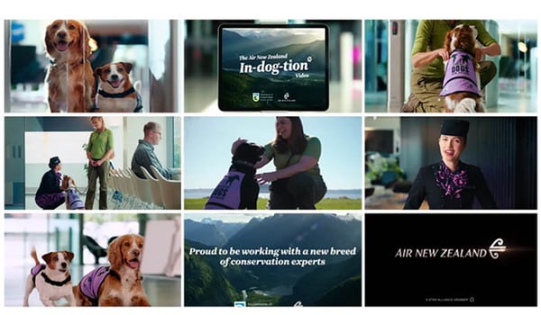 Air New Zealand wins March Kantar Ad Impact Award