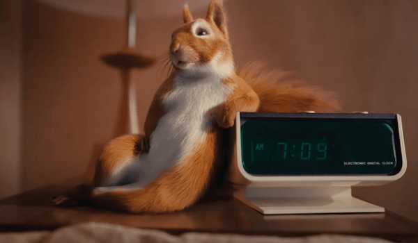 Wake up to the Squirrel Effect