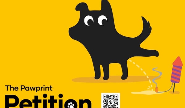 Pets get to have their say in new petition to ban public sale of fireworks